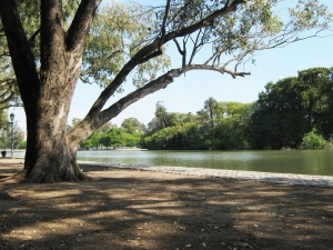 Top Summer Swimming Holes Near Shrewsbury, MA