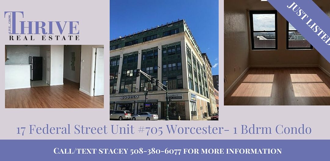 New Listing-17 Federal Street Worcester Unit #705