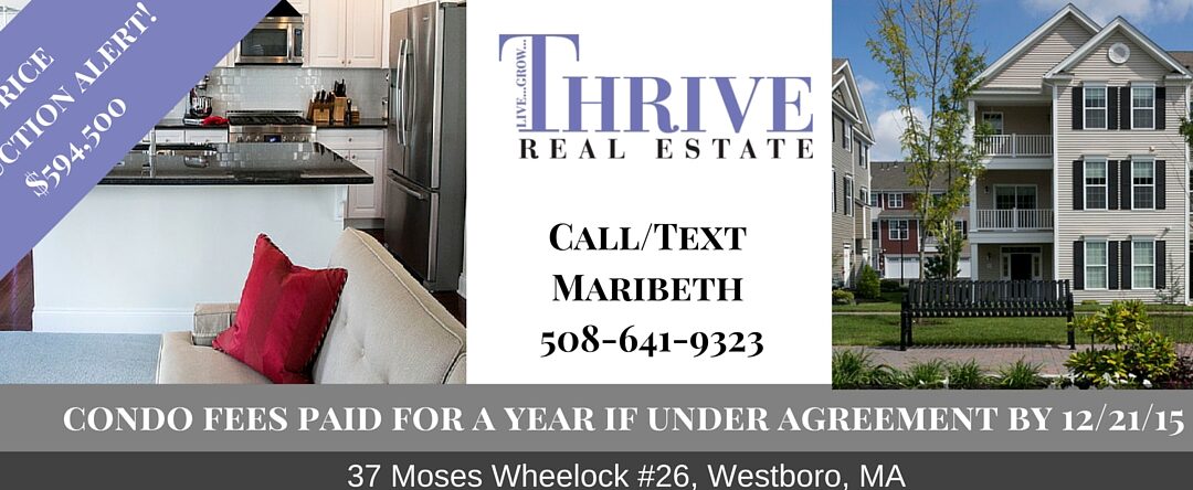 Condos for Sale in Westborough MA- Market Update for 37 Moses Wheelock